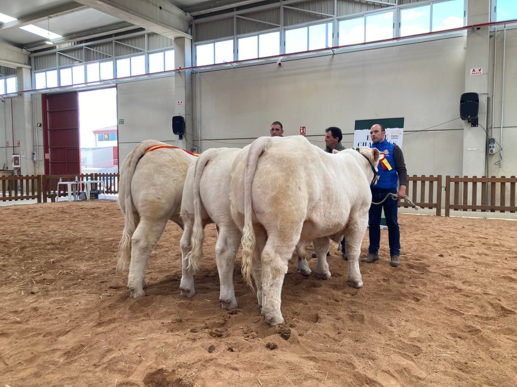 Feria de Becerros 2022 — vista general