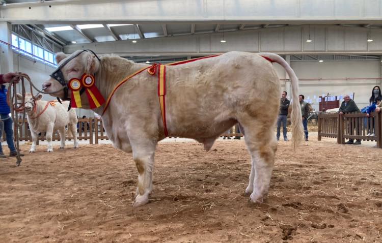 Feria de Becerros 2022 — ganaderos asociados