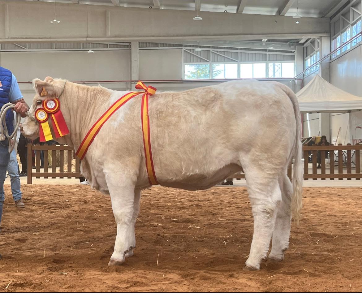 SUBCAMPEONA HEMBRAS