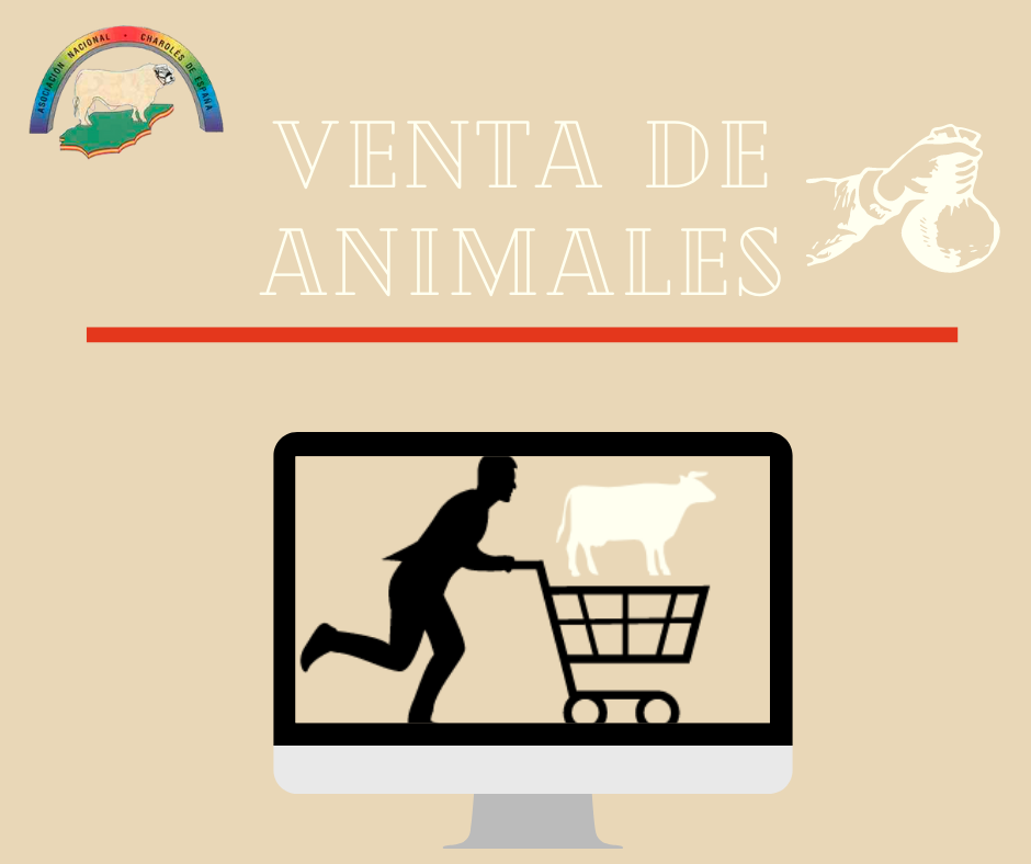 VENTA DE ANIMALES