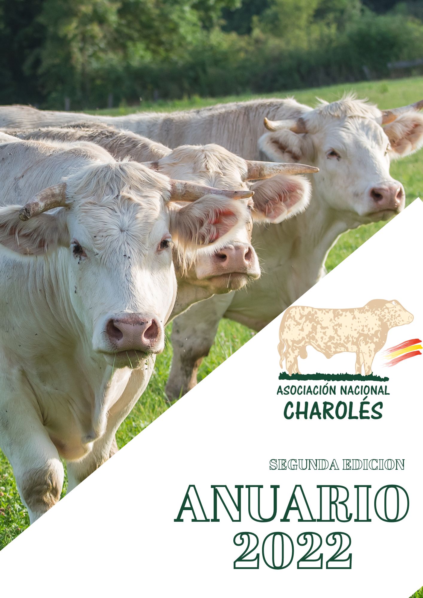 ANUARIO 2022