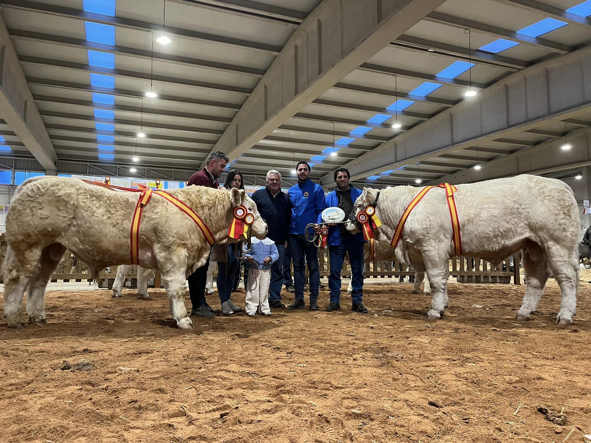 CONCURSO FERIA DE BECERROS 2024
