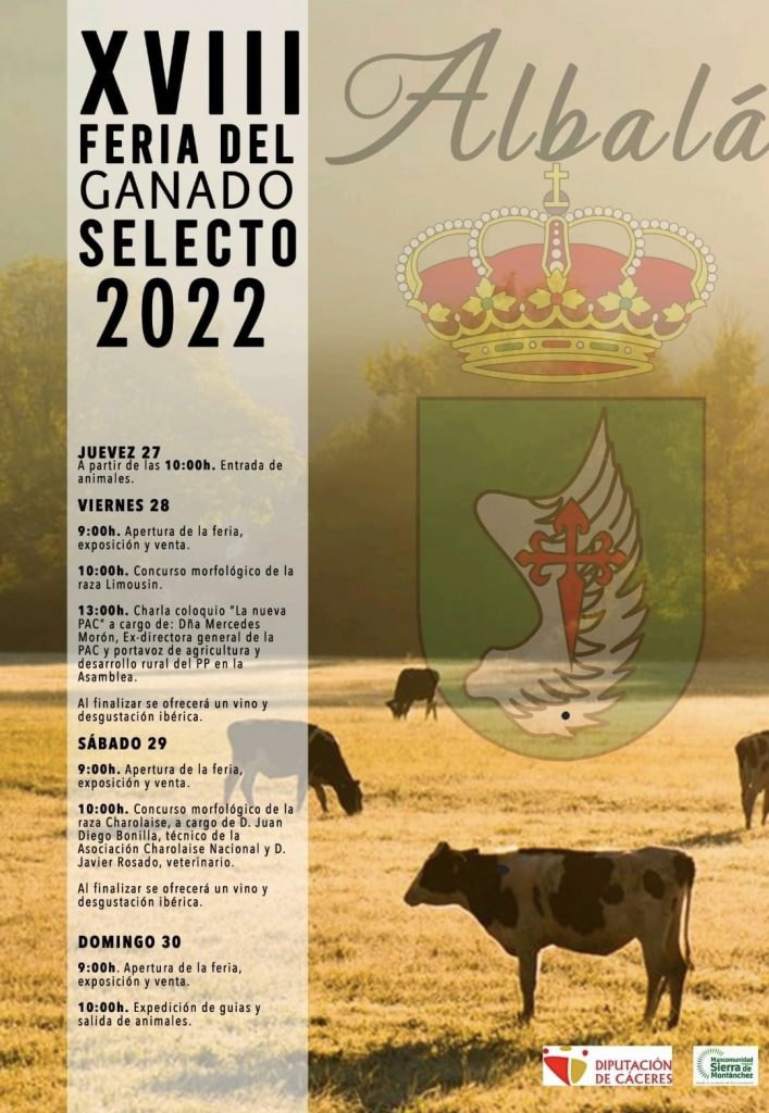 CARTEL FERIA