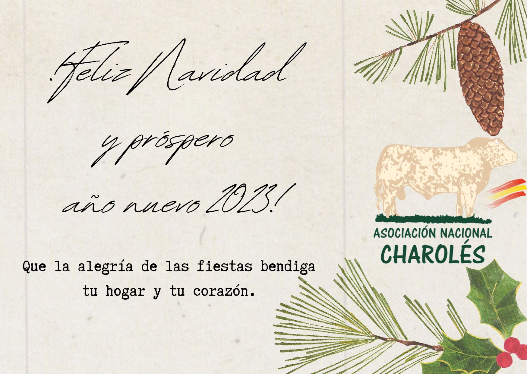 ¡¡Feliz Navidad!!
