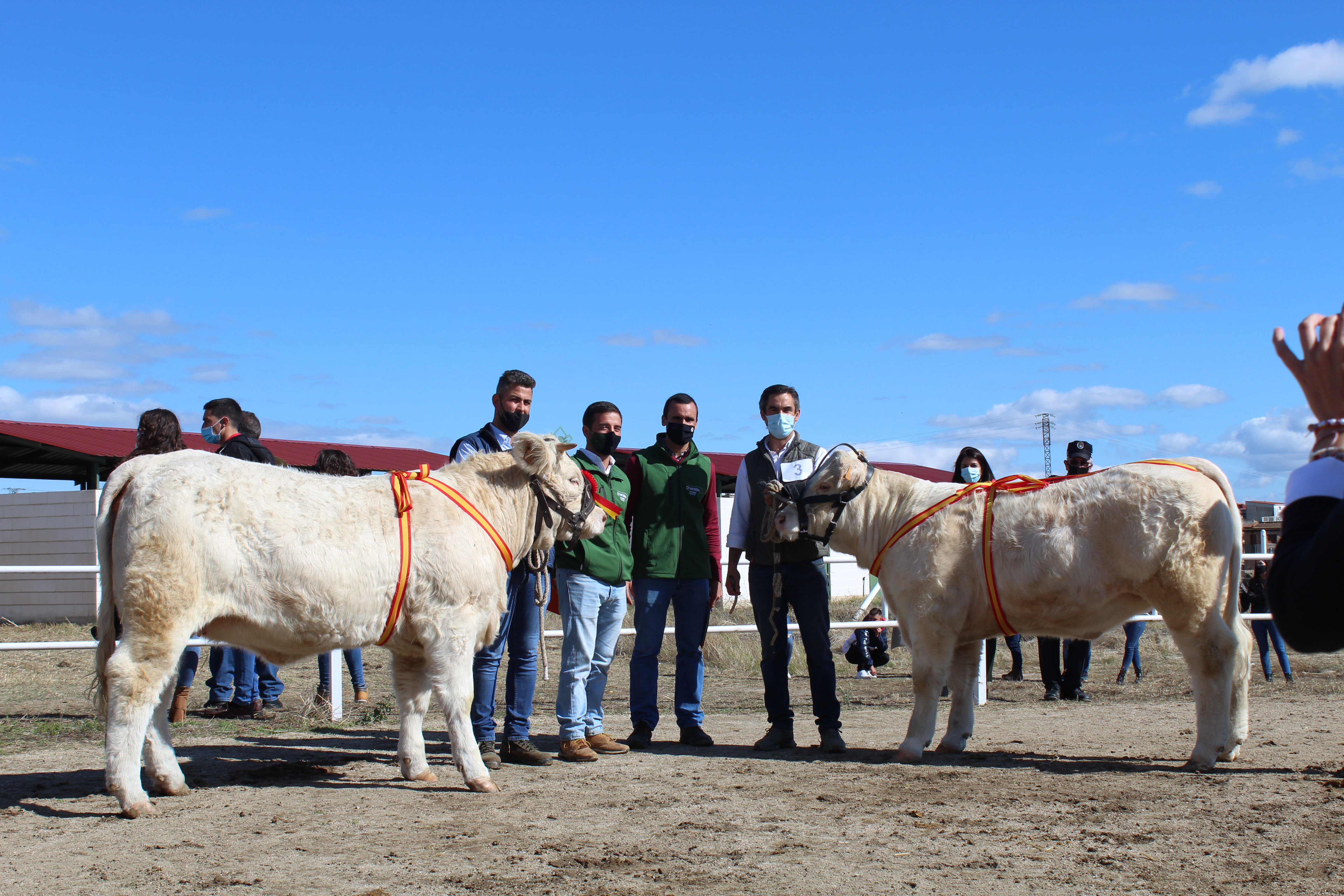FERIA ALBALA 2020