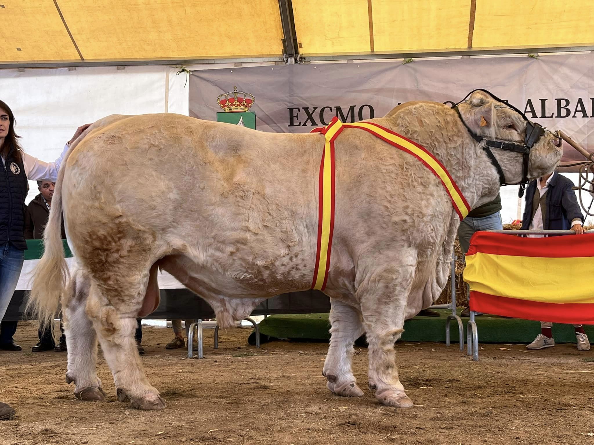 SUBCAMPEÓN ADULTO