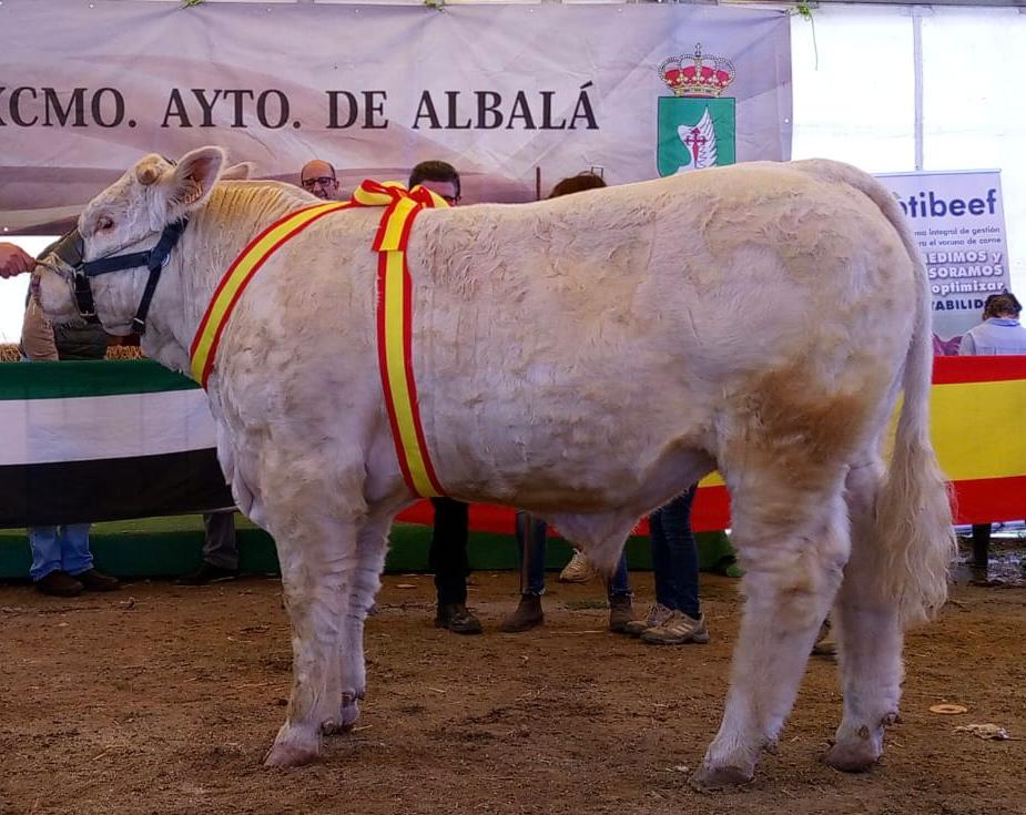 SUBCAMPEÓN JOVEN