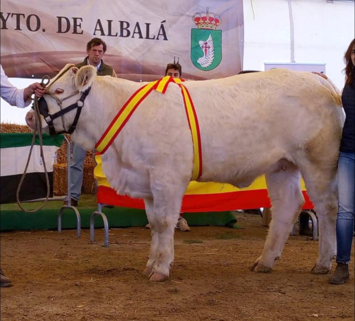 SUBCAMPEONA