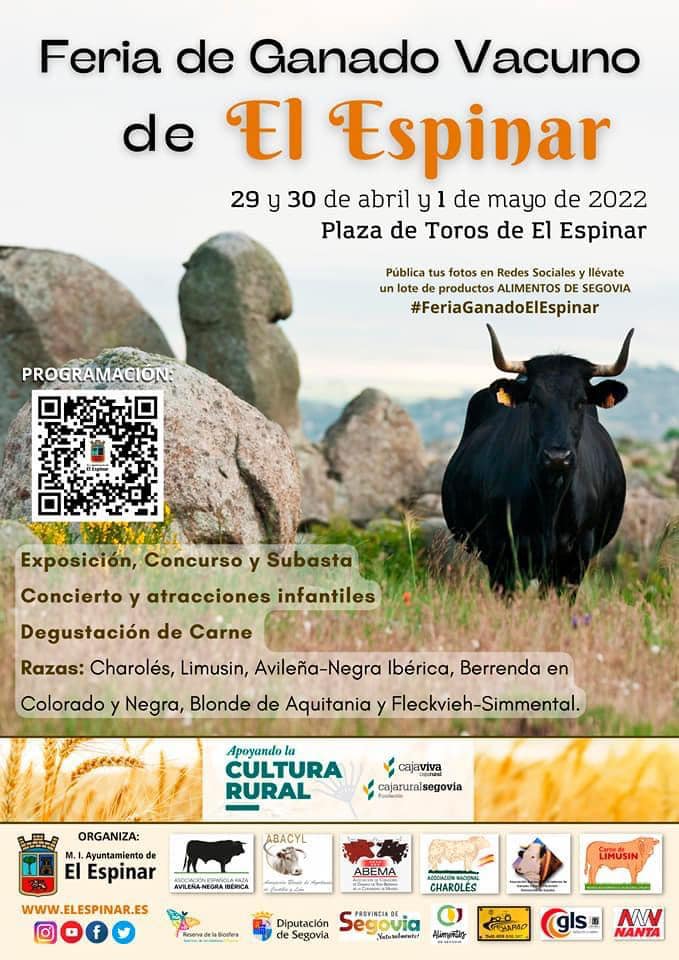 Feria El ESPINAR