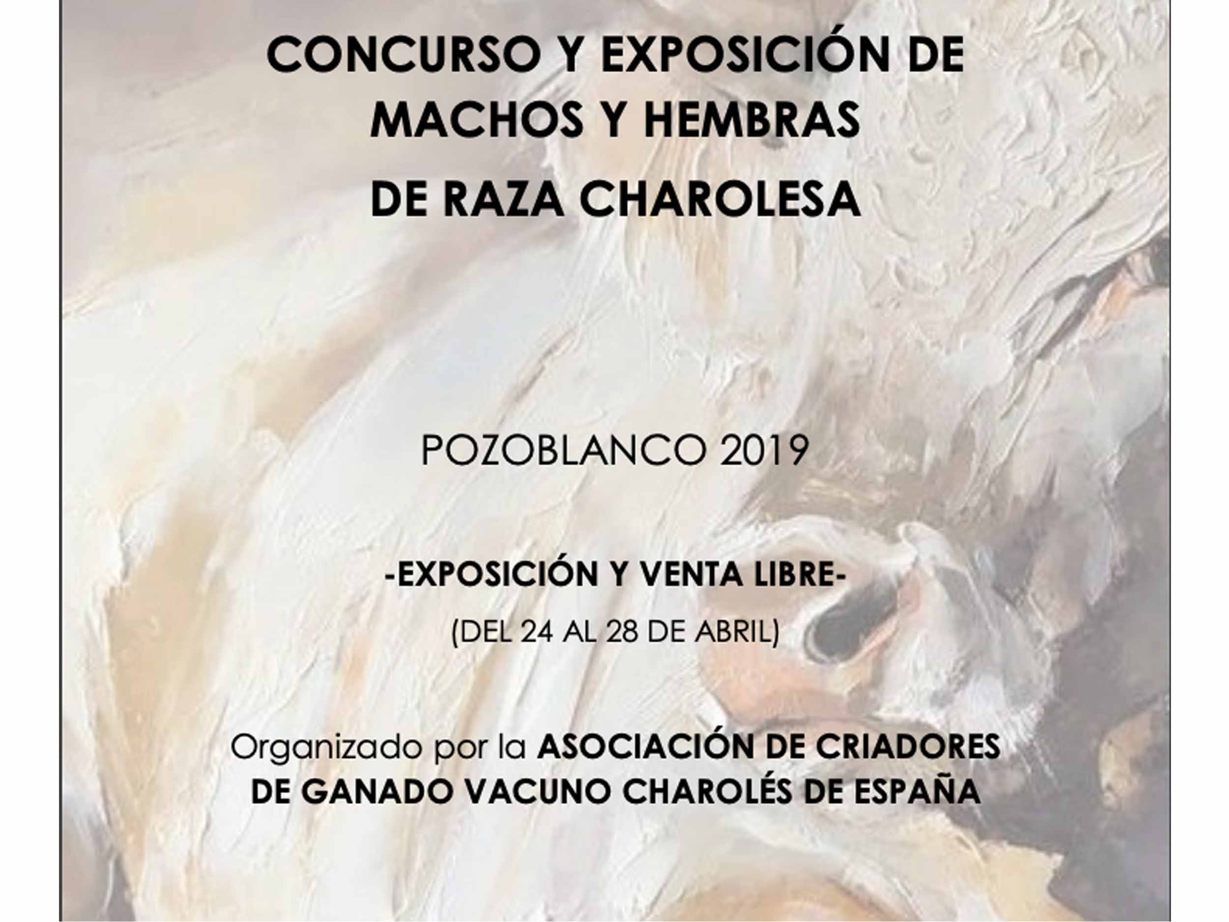 Feria Pozoblanco (Córdoba)