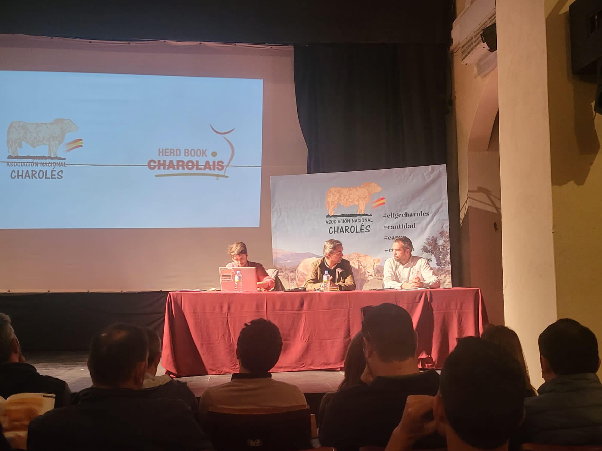 FORMACION DE JUECES