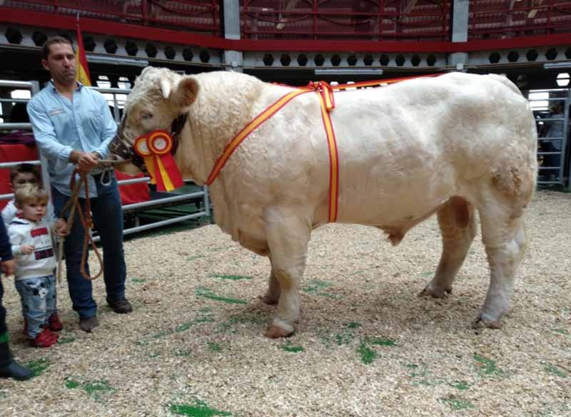 FOTOS COLMENAR VIEJO 2018