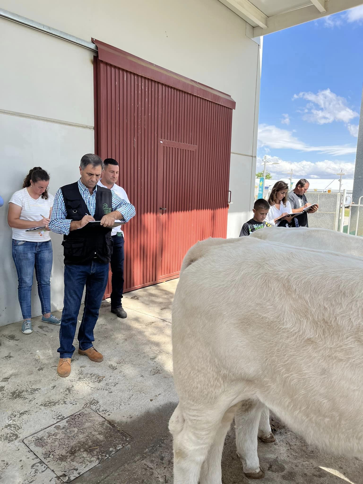 PARTE PRÁCTICA ANIMALES DE LA FERIA