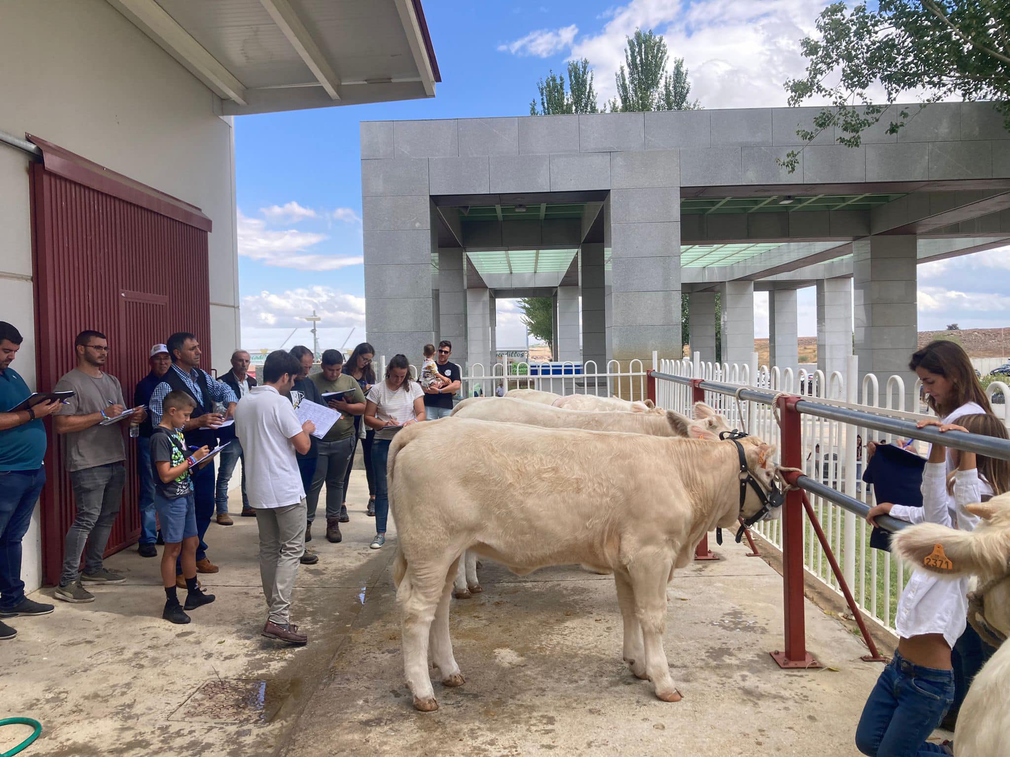 PARTE PRÁCTICA ANIMALES DE LA FERIA