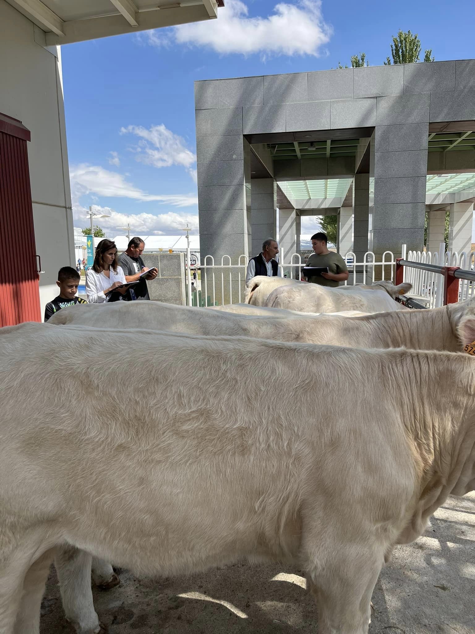 PARTE PRÁCTICA ANIMALES DE LA FERIA