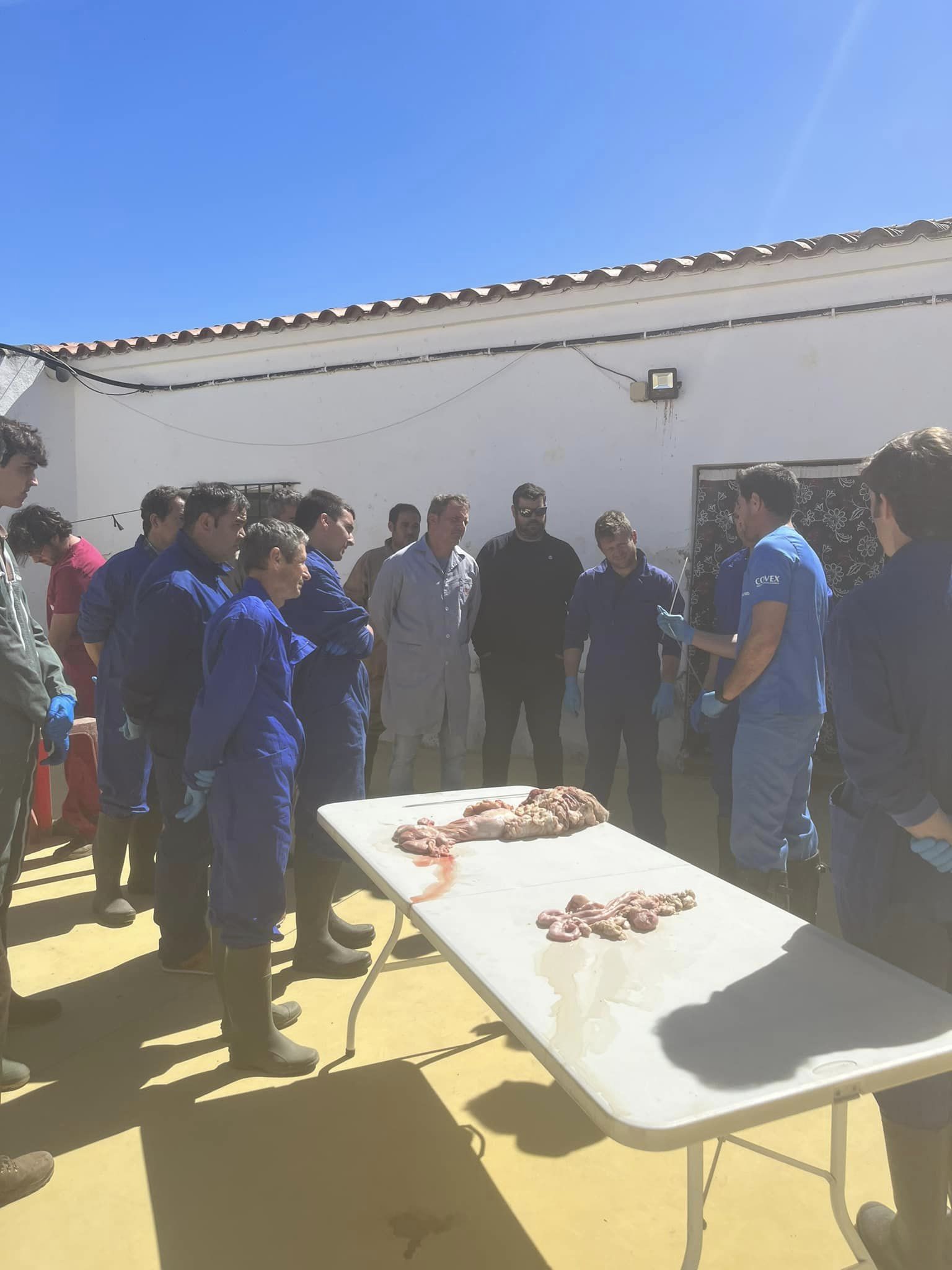 CURSO FORMACION I.A