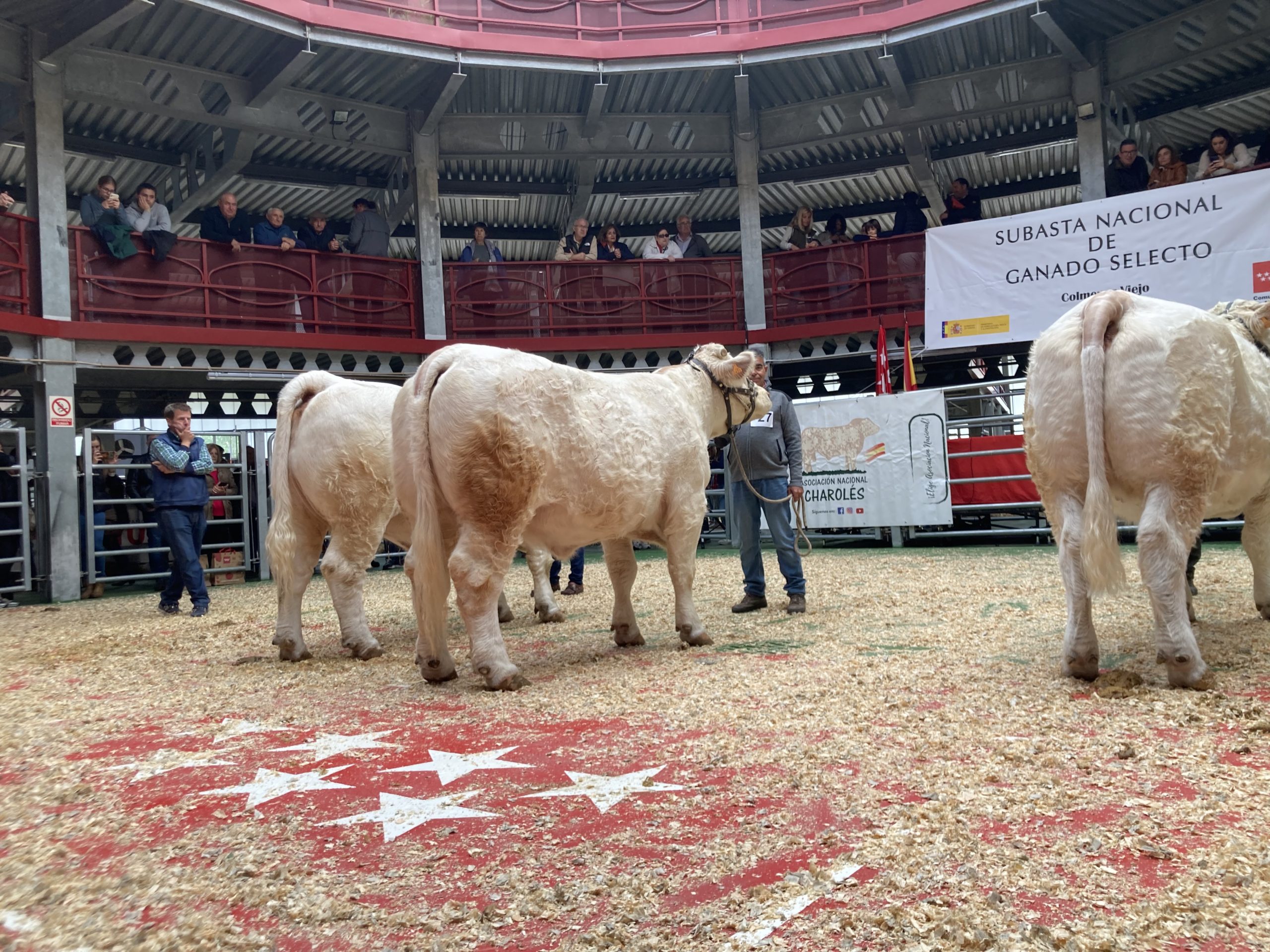 CONCURSO