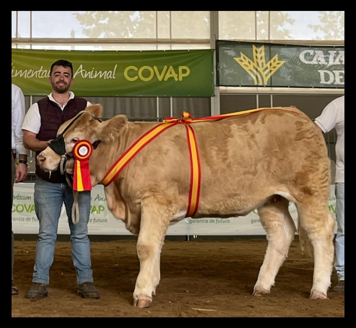 CAMPEONA