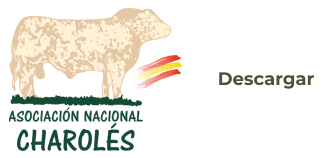 Carta genealógica